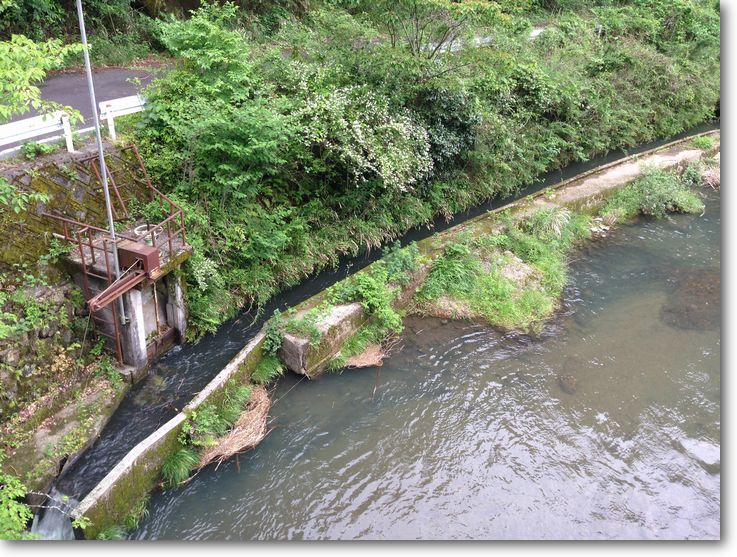 天王用水取水口付近のうの花　牛牧橋より　2014.5.27撮影